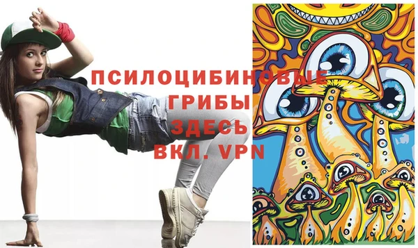 гашик Балахна