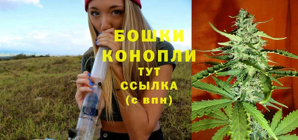 гашик Балахна